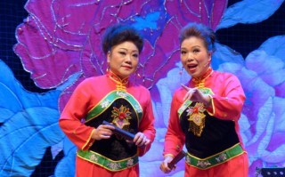 河南坠子完整版全集连放，河南坠子完整版全集连放长篇胡银花薛刚反唐